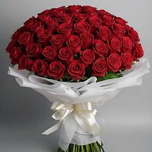 Букет 101 Красная роза Блэк Мэджик #REPLACE_PRED# Козмодемьянске