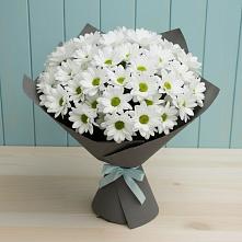 Букет цветов из:  Хризантемы в Козмодемьянске
