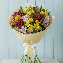 Букет цветов из:  Альстромерии в Козмодемьянске