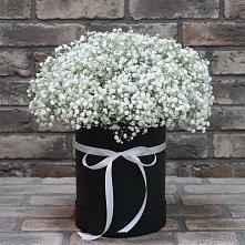 Цветочная композиция из Гипсофила в шляпной коробке #REPLACE_PRED# Козмодемьянске